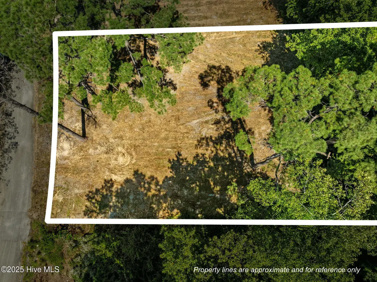 124 Jupiter Trail, Jacksonville, NC 28546 - Image #1