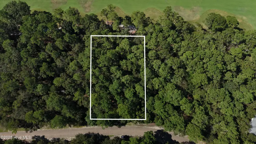 346 River Woods Drive, Wallace, NC 28466 - Image #2