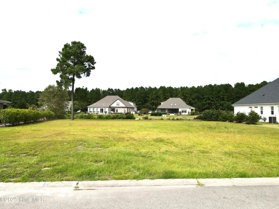 1010 Cloudbreak Court, Leland, NC 28451 - Image #3