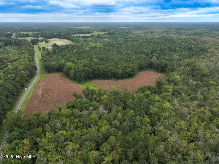 0 Stocking Head Road, Greenevers, NC 28458 - Image #2