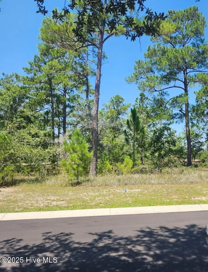 551 Glitter Bay Court, Shallotte, NC 28470 - Image #2