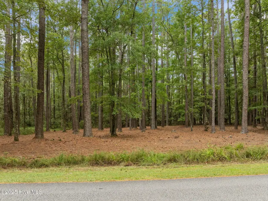 Lot 120 Pamlico River Drive Drive, Washington, NC 27889 - Image #2