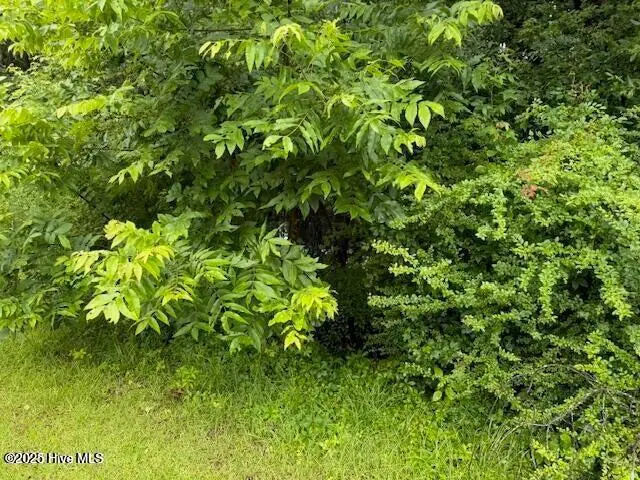 0 Tobes Road Ne, Bolivia, NC 28422 - Image #2