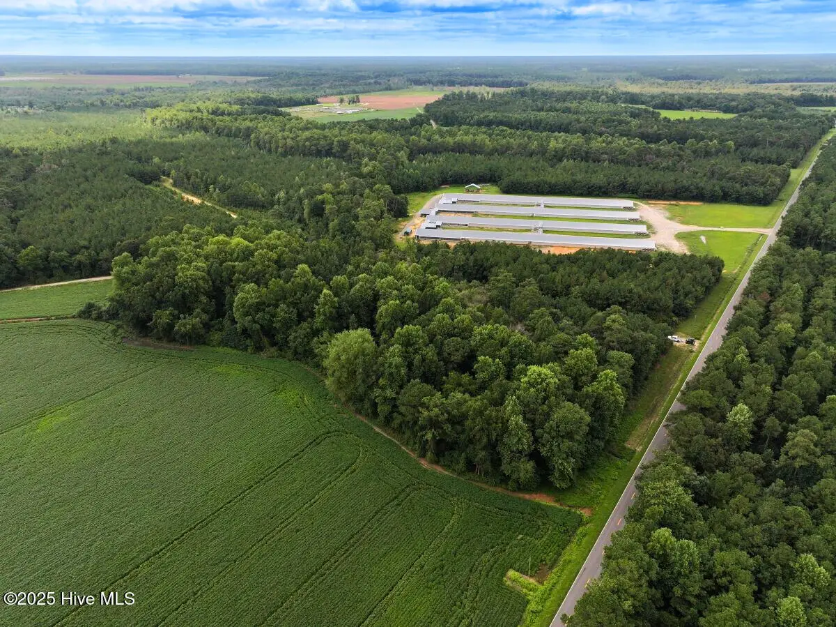 0 Doc Brown Road, Kenansville Township, NC 27458 - Image #1