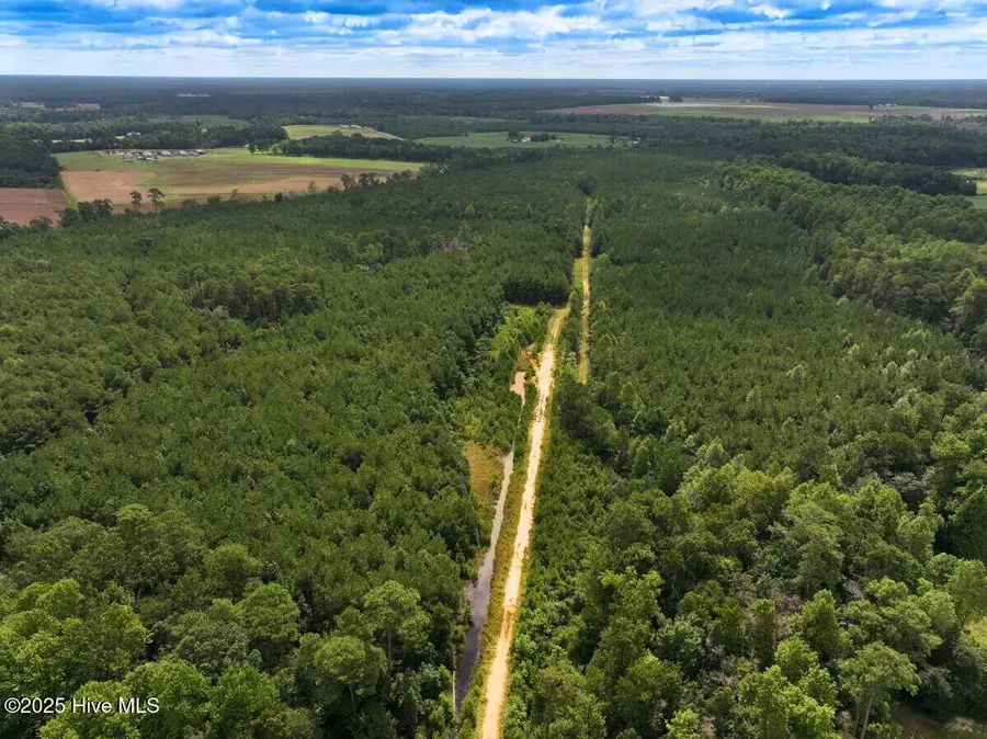 0 Doc Brown Road, Kenansville Township, NC 27458 - Image #2