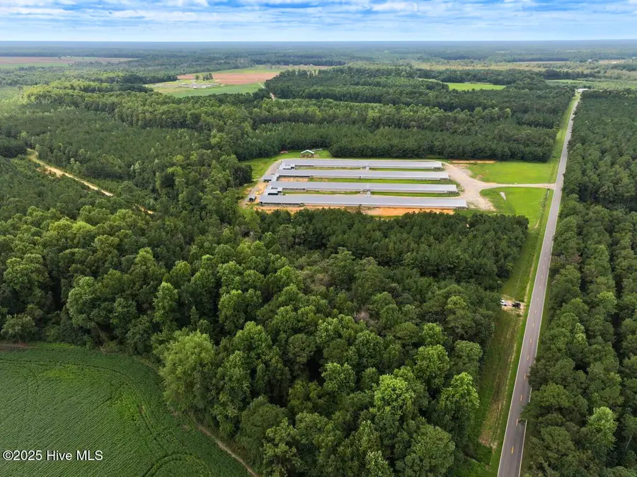 0 Doc Brown Road, Kenansville Township, NC 27458 - Image #3