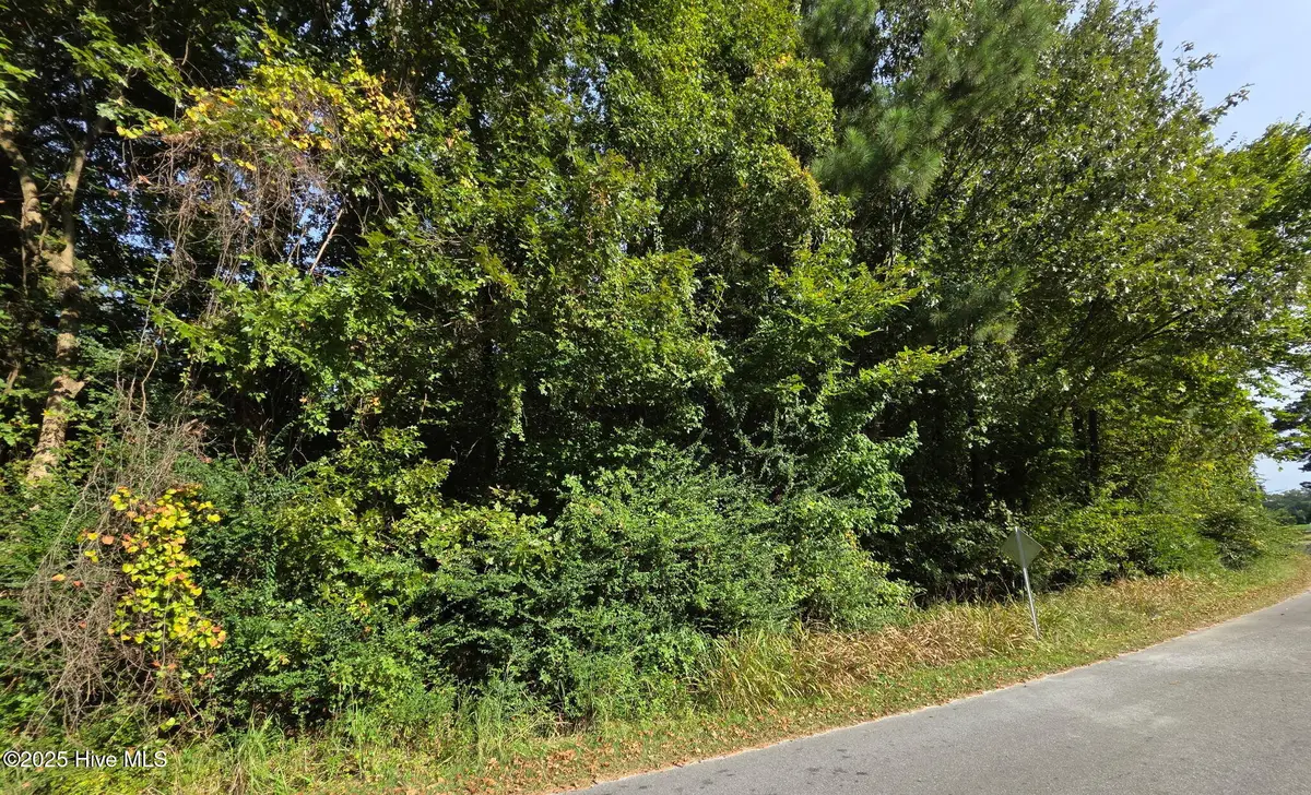 0 Brassie Drive, Grifton, NC 28530 - Image #1