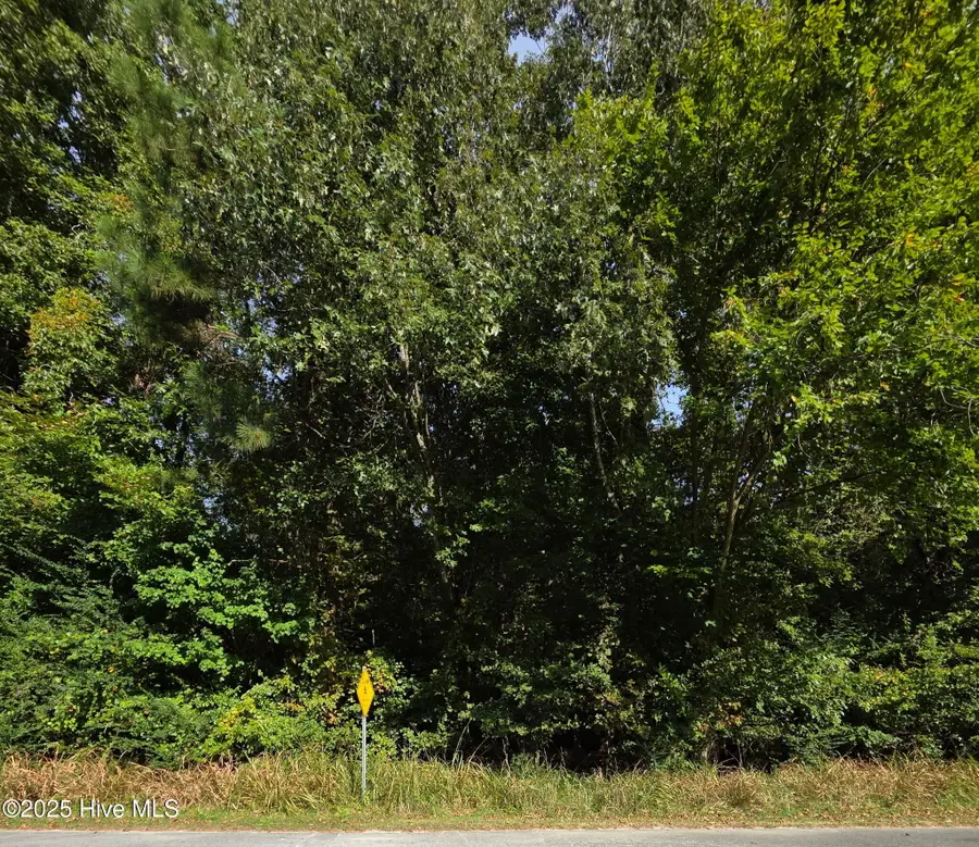 0 Brassie Drive, Grifton, NC 28530 - Image #3