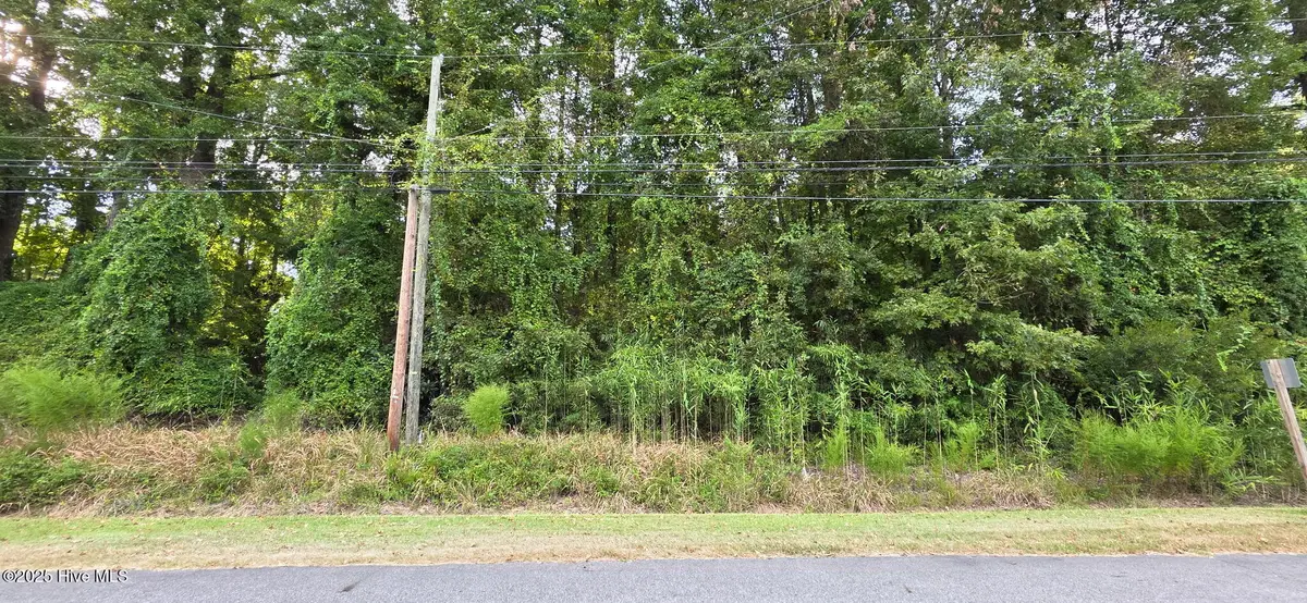 0 Fairway Drive, Grifton, NC 28530 - Image #1