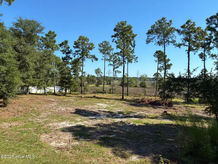 2440 Crape Myrtle Court Sw, Supply, NC 28462 - Image #2