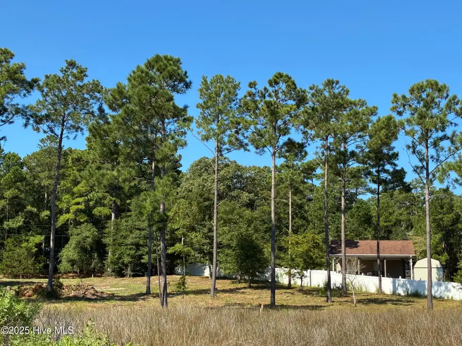 2440 Crape Myrtle Court Sw, Supply, NC 28462 - Image #3