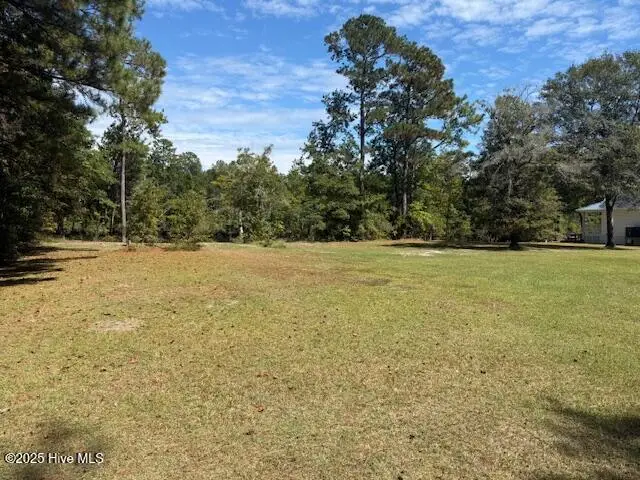 1067 River Road, Tabor City, NC 28463 - Image #2