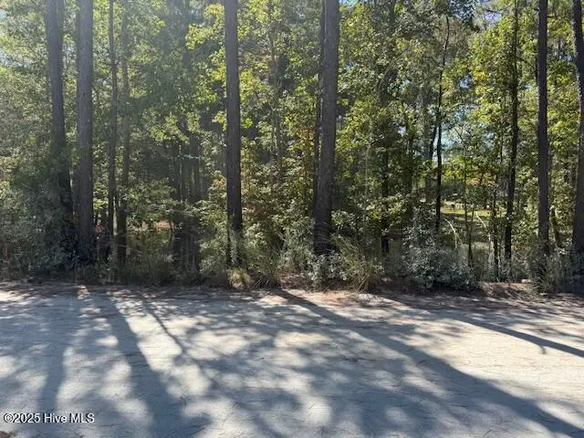 1067 River Road, Tabor City, NC 28463 - Image #3