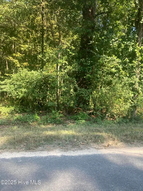 Tbd Cedar Lane, Laurinburg, NC 28352