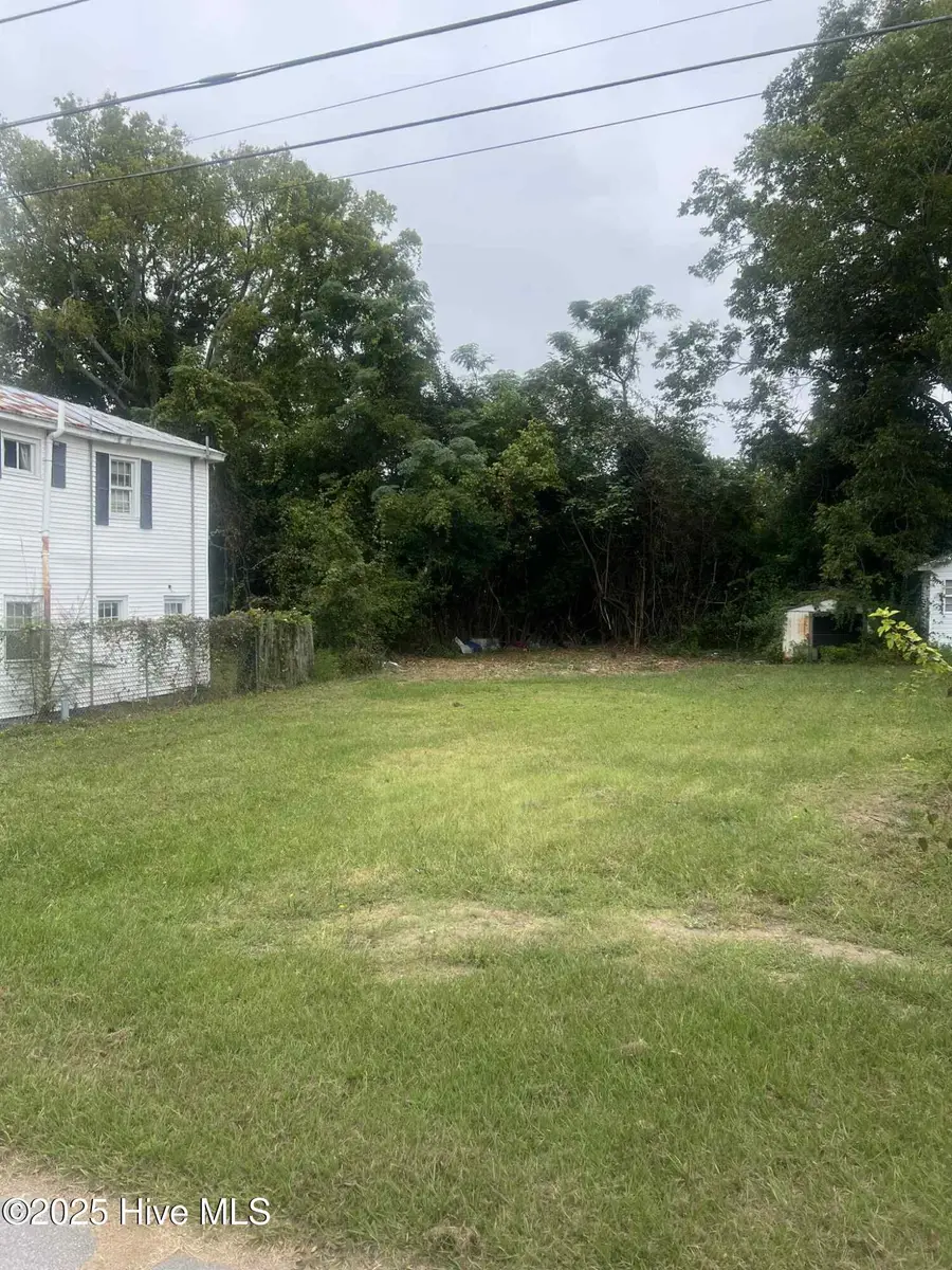 1006 Williams Street, New Bern, NC 28560 - Image #2