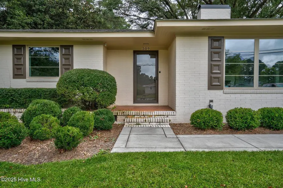 509 W Nash Street, Elm City, NC 27822 - Image #3