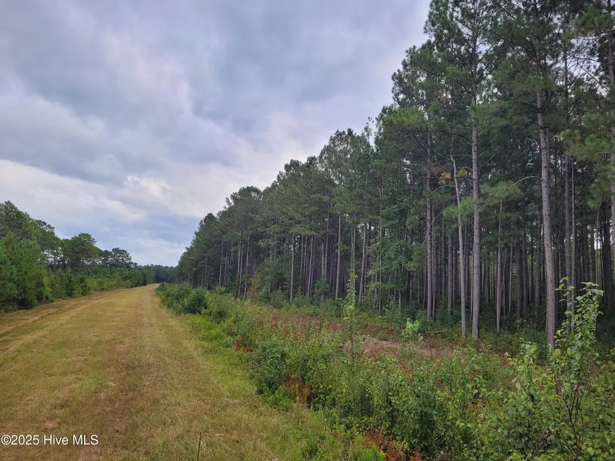 0 Kingtown Road Nw, Ash, NC 28420 - Image #1