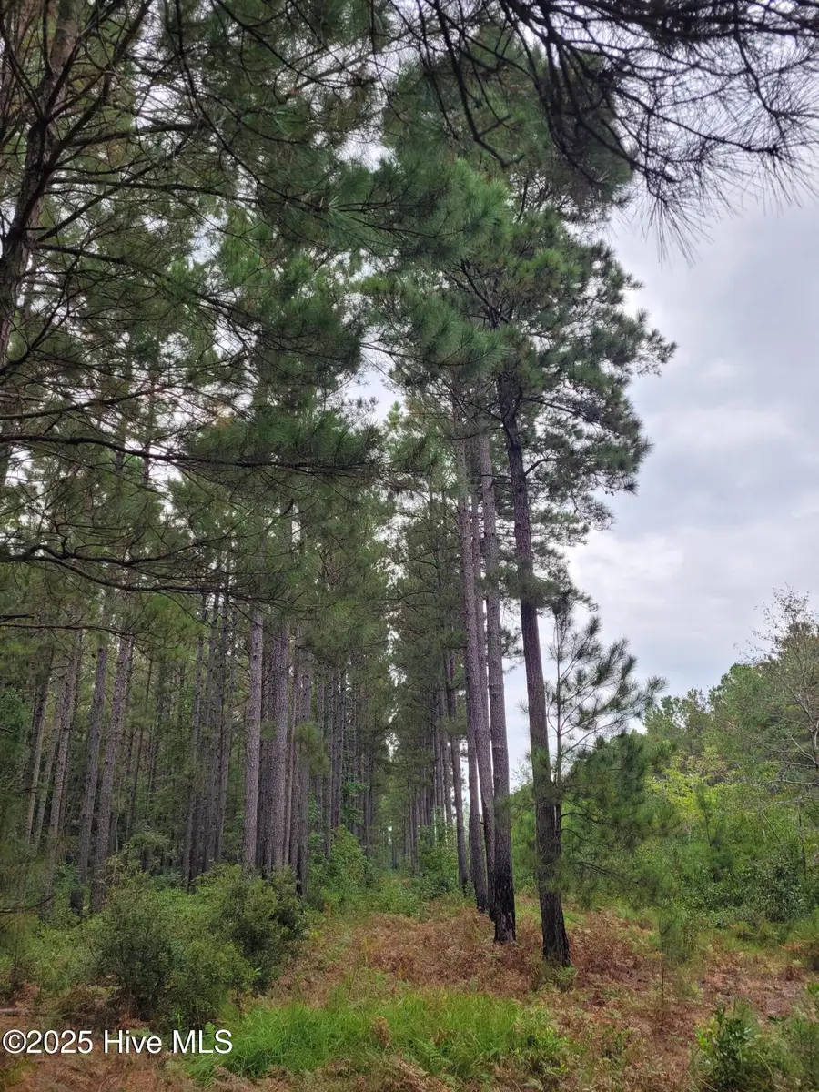 0 Kingtown Road Nw, Ash, NC 28420 - Image #3