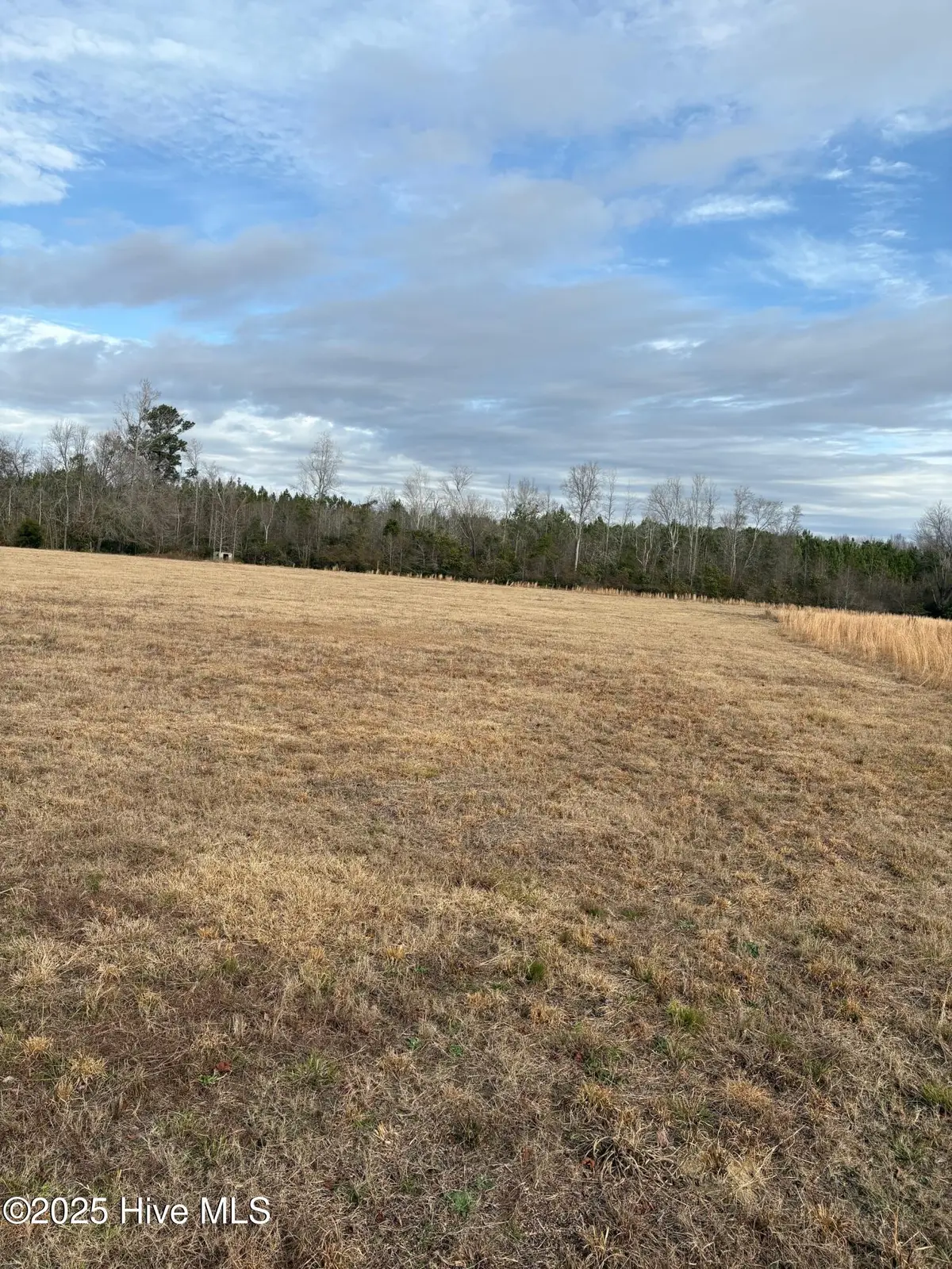 Tbd Near 455 Dothan Road, Tabor City, NC 28463 - Image #1