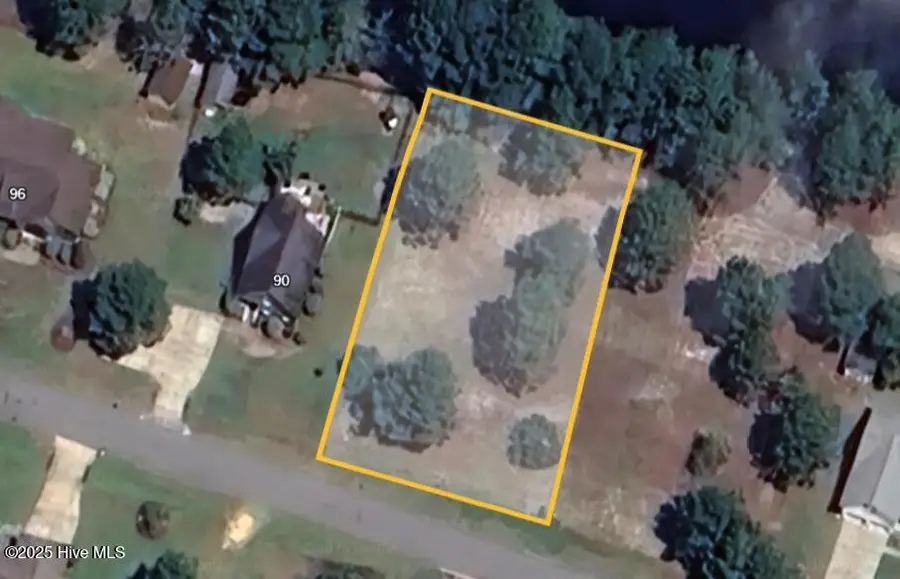 189 Spring Branch Drive, Harrells, NC 28444 - Image #2