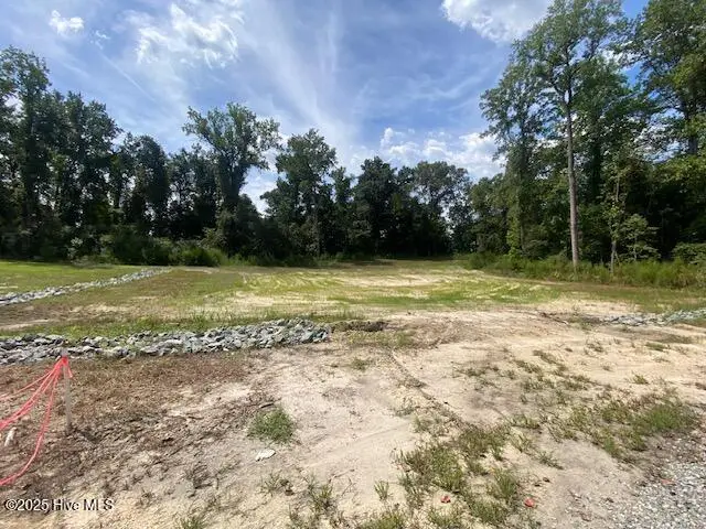 215 Willowbrook Drive, Pikeville, NC 27863 - Image #2