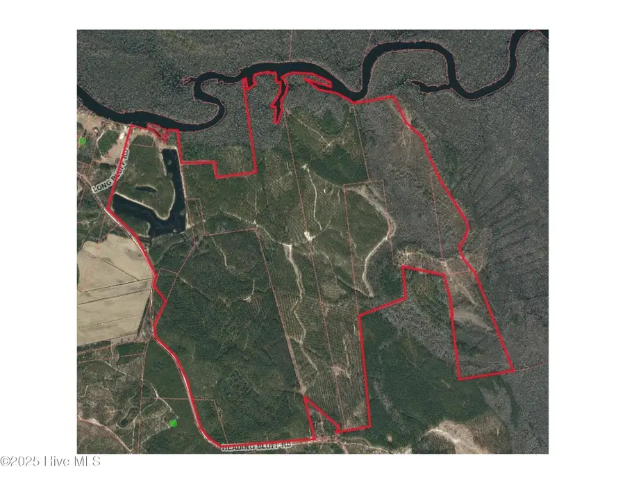 250 Long Bluff Road, Currie, NC 28435 - Image #2