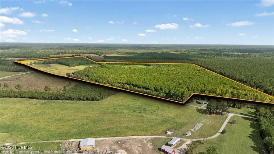 1354 Bryantown Road, Rich Square, NC 27869 - Image #3