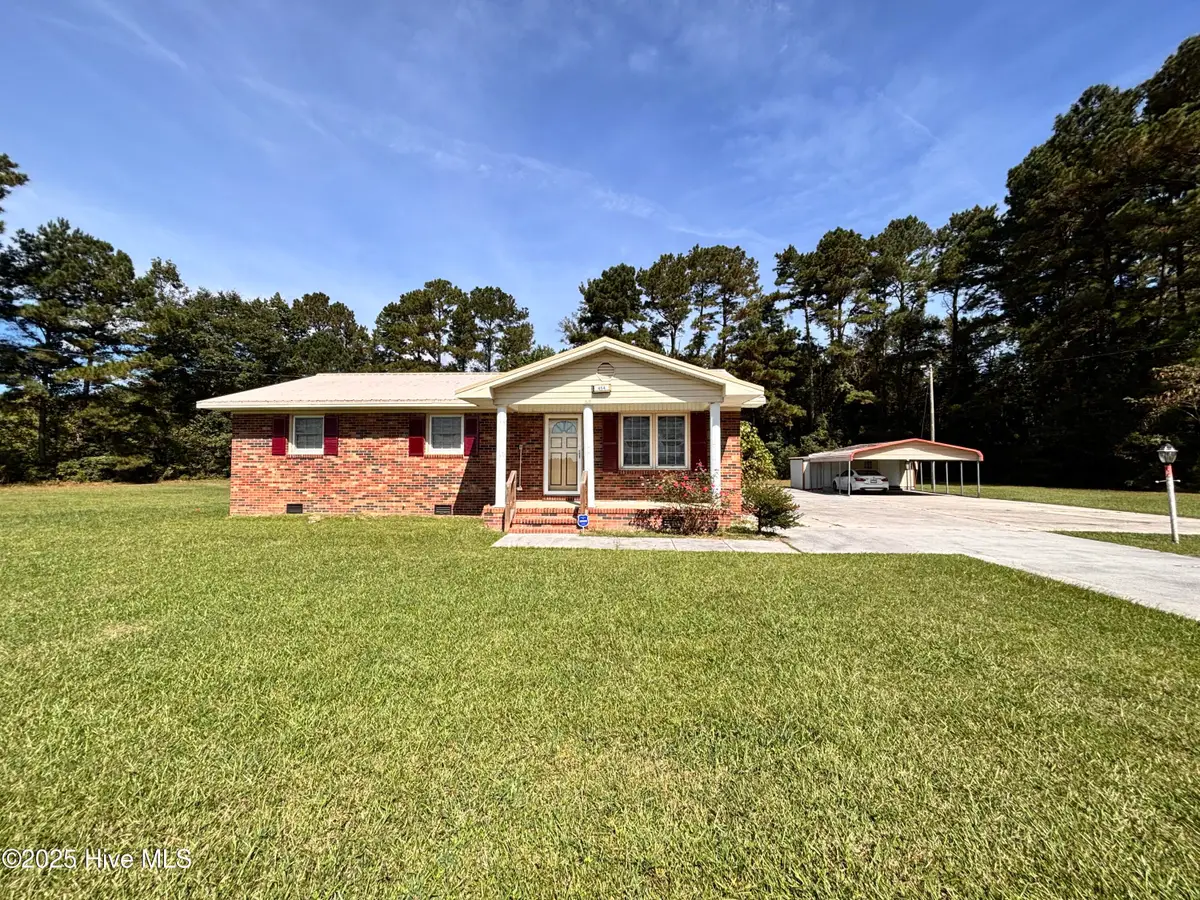 454 Buckhorn Road, Willard, NC 28478 - Image #1