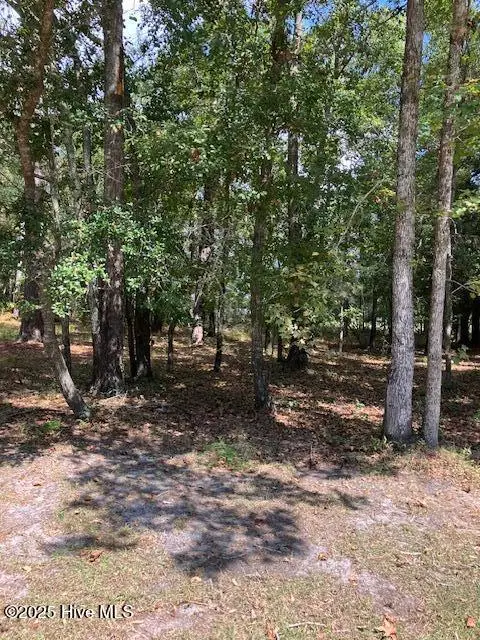 471 Shiloh Lane Se, Bolivia, NC 28422