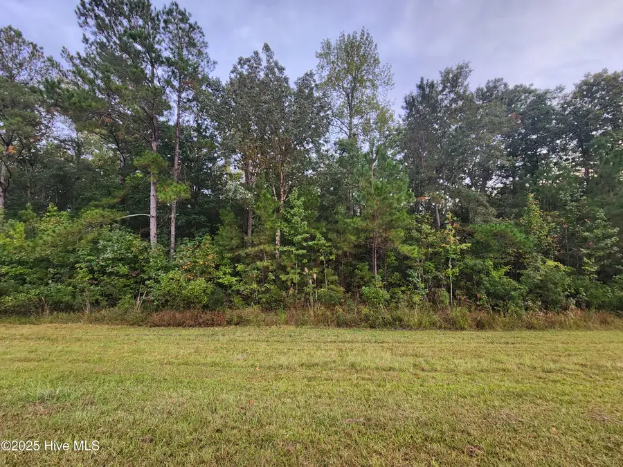 O Hwy 17, Bolivia, NC 28422 - Image #2