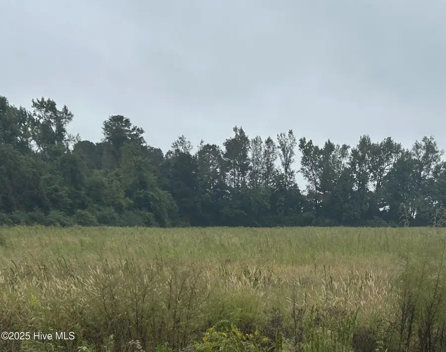 11.98 Pelham Road, Willard, NC 28478 - #2