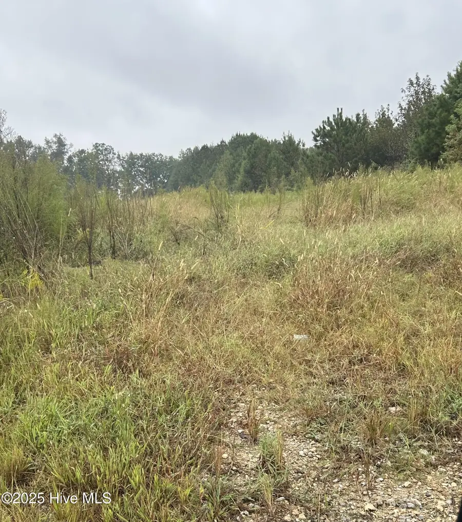 11.98 Pelham Road, Willard, NC 28478 - #3