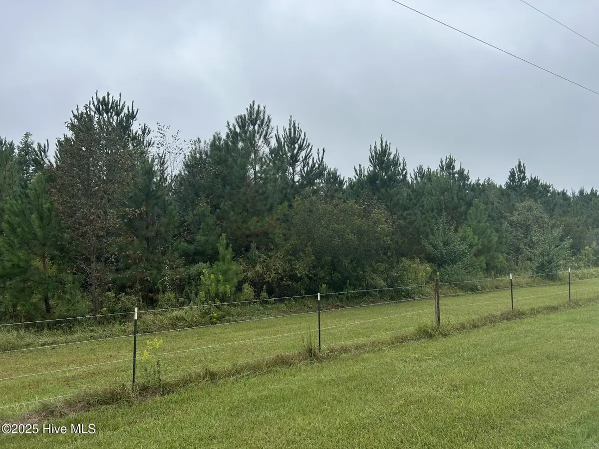 10.6 Crooked Run Road, Willard, NC 28478 - #1