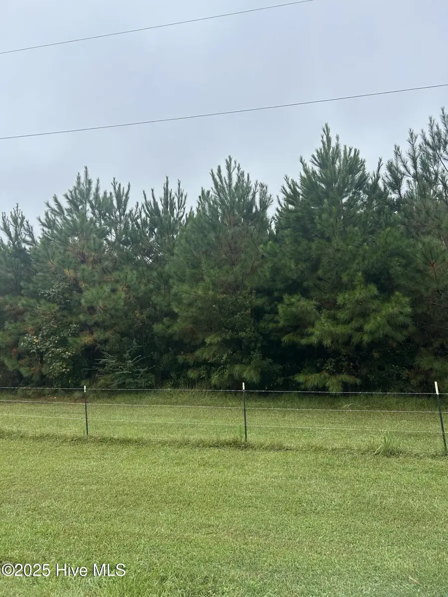 10.6 Crooked Run Road, Willard, NC 28478 - #3