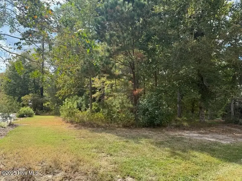 23 Arenuse Creek Court Court, Hertford, NC 27944 - Image #2