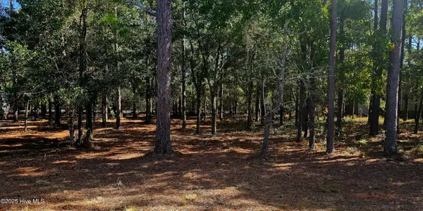 3510 Tarpon Court Se, Bolivia, NC 28422