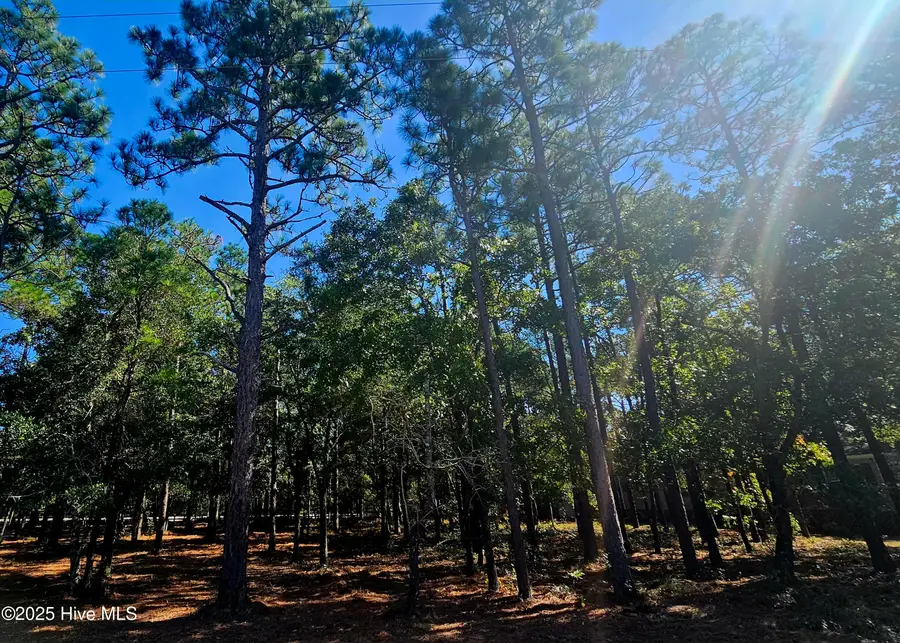 3510 Tarpon Court Se, Bolivia, NC 28422 - Image #2