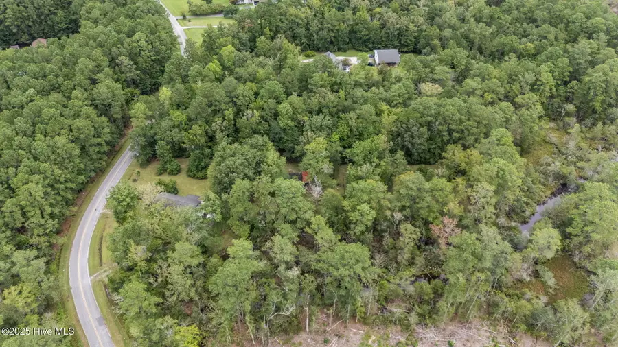 1745 Alligator Loop Road, Merritt, NC 28556 - Image #3