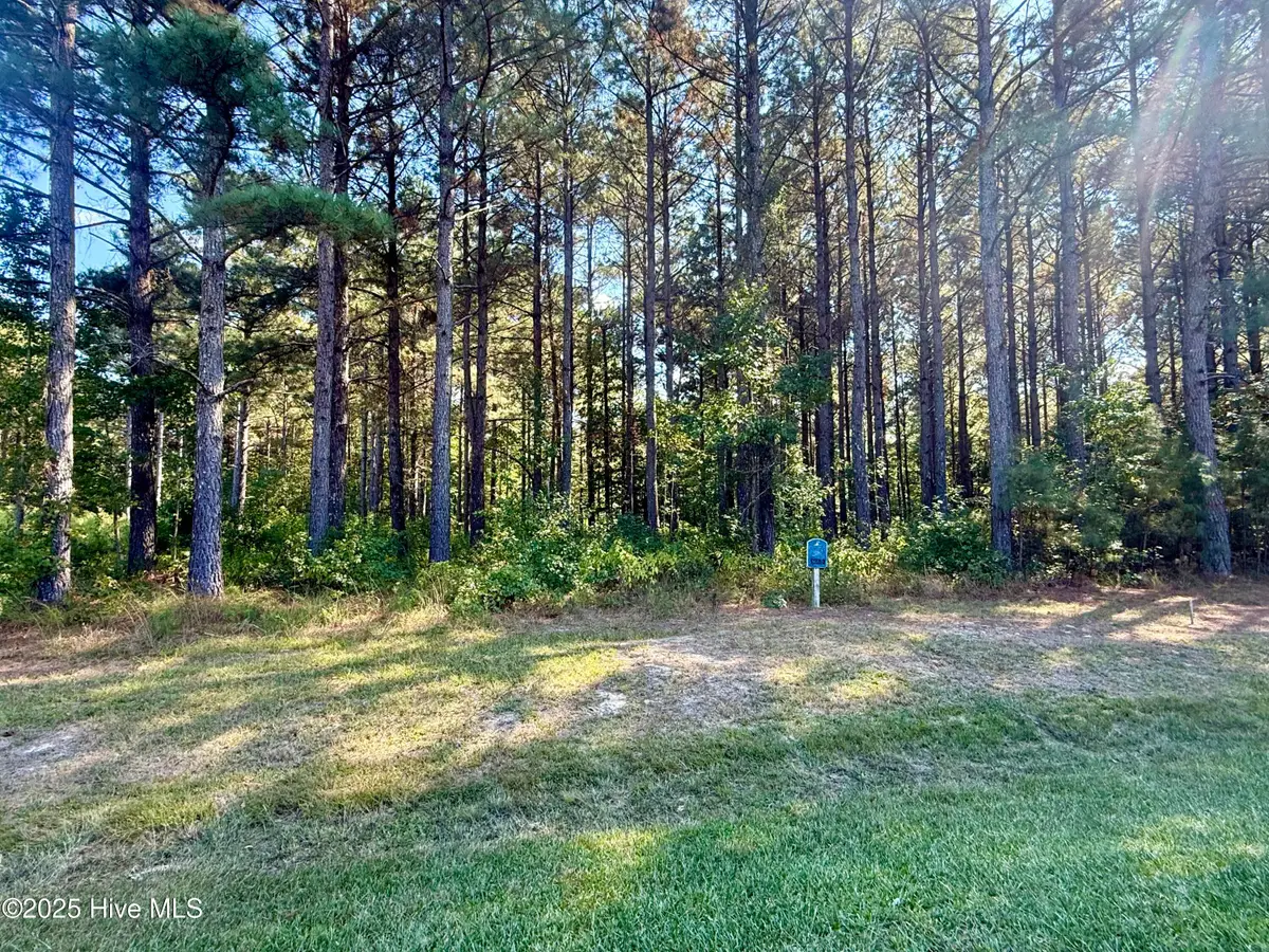 408 Plumtree Circle, Edenton, NC 27932 - Image #1