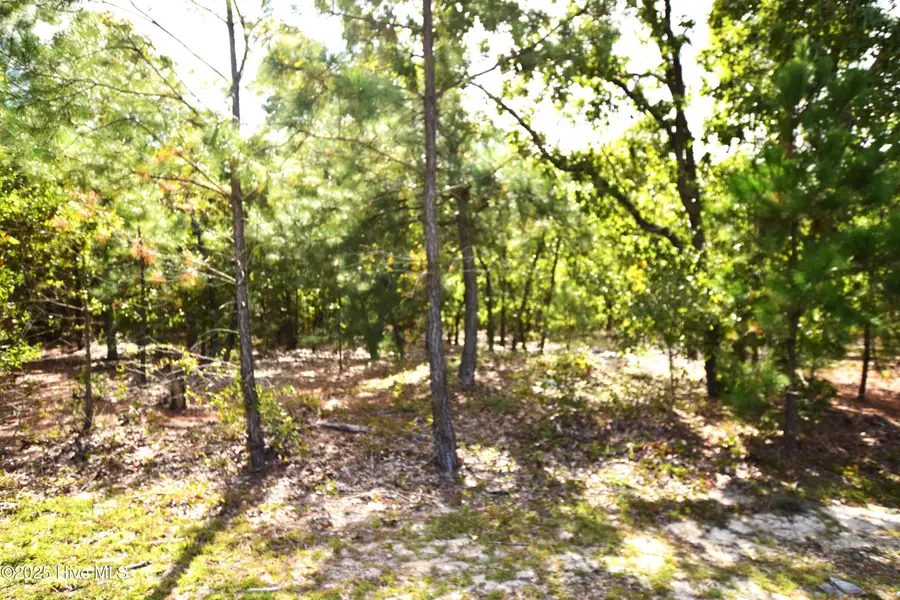 1035 Mill Road, Jackson Springs, NC 27281 - Image #2