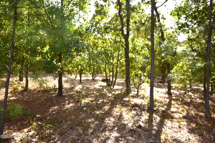 1035 Mill Road, Jackson Springs, NC 27281 - Image #3