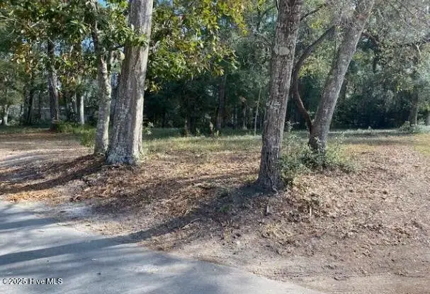 9131 Forest Drive Sw, Sunset Beach, NC 28468 - Image #3