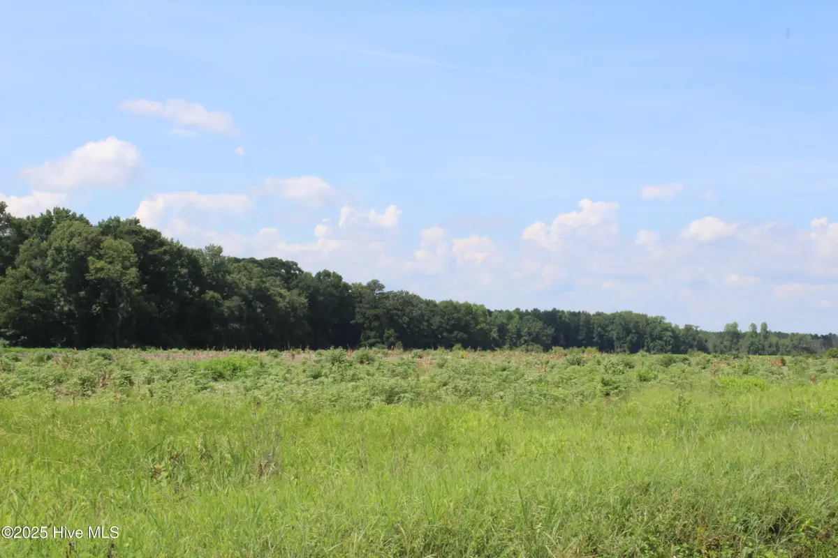 Lot 1 Whaley Road, Kinston, NC 28501 - Image #1