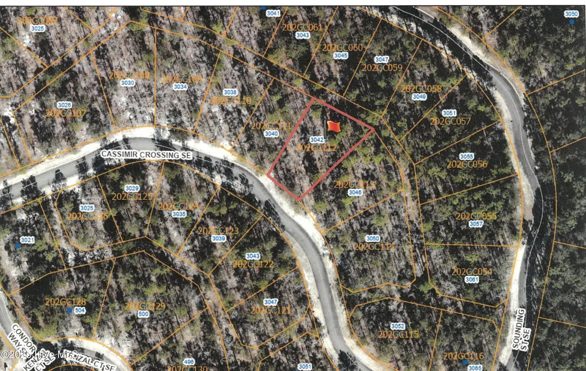 3042 Cassimir Crossing Se, Bolivia, NC 28422 - #1
