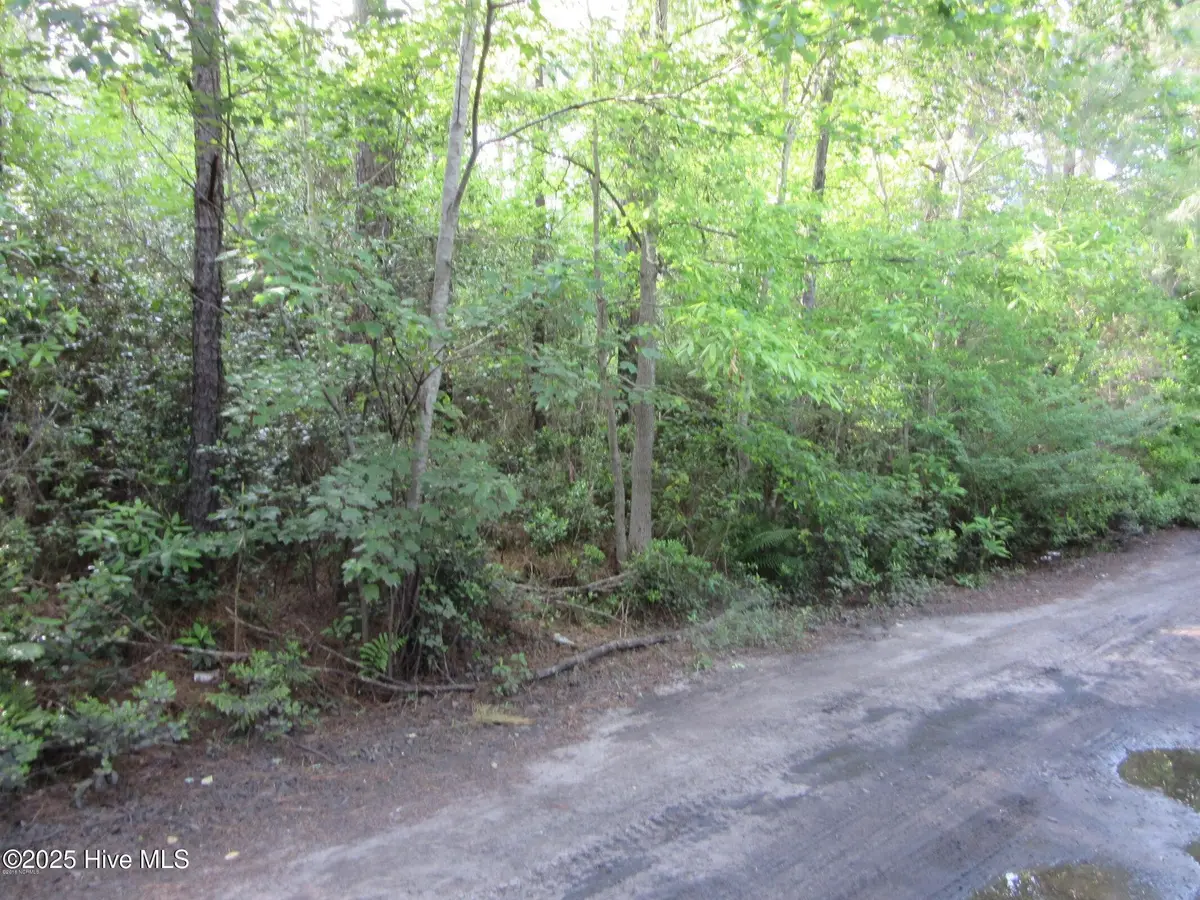 1253 Crooked Pine Road, Wilmington, NC 28411 - Image #1