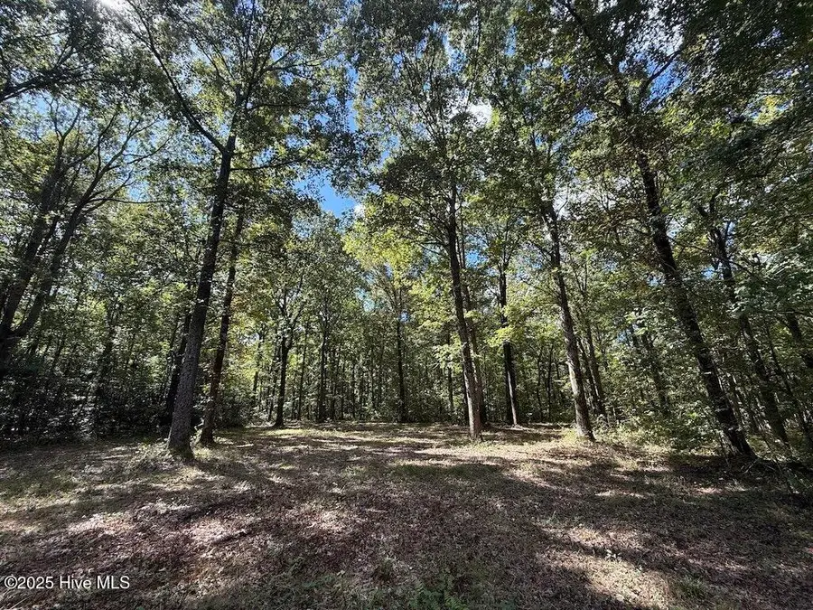 1945 Bolton Road, Rich Square, NC 27869 - Image #2