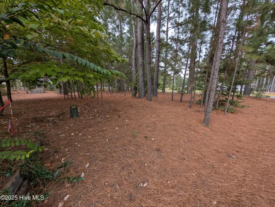 129 Laurel Oak Lane, Pinebluff, NC 28373 - Image #2