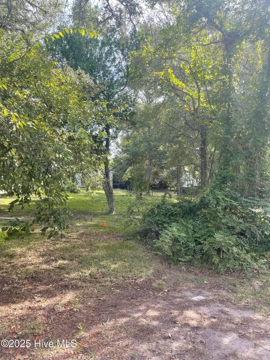 203 Clarendon Avenue, Southport, NC 28461 - Image #2