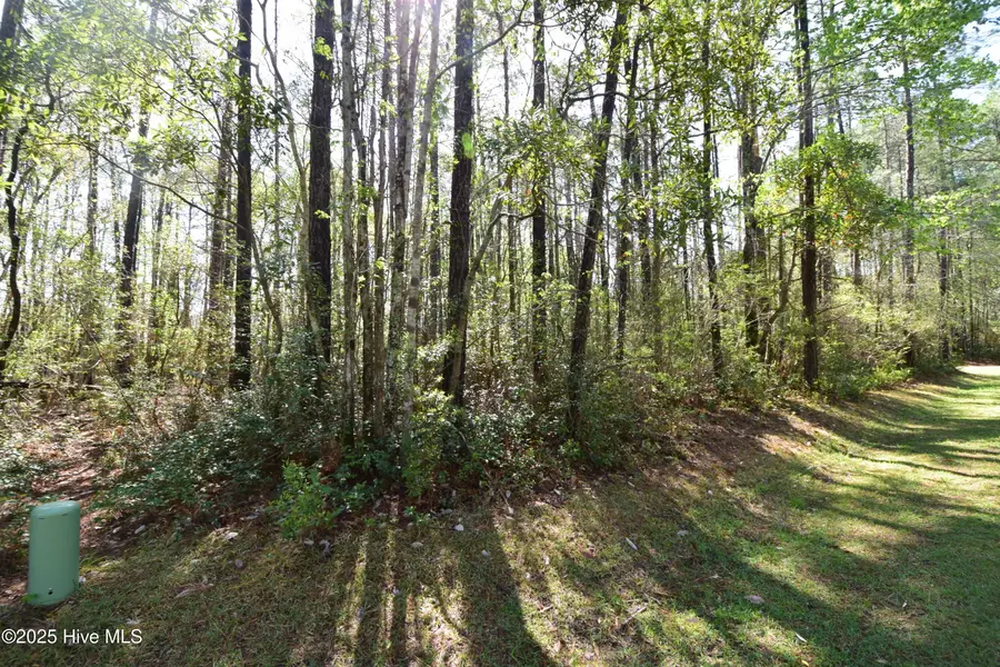 900 River Reach Court, New Bern, NC 28560 - Image #2