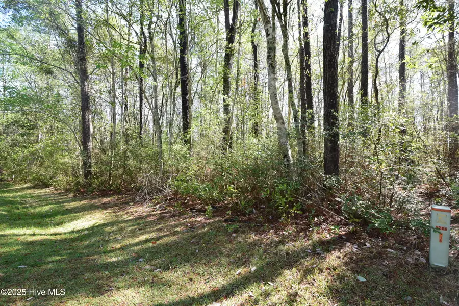 902 River Reach Court, New Bern, NC 28560 - Image #2